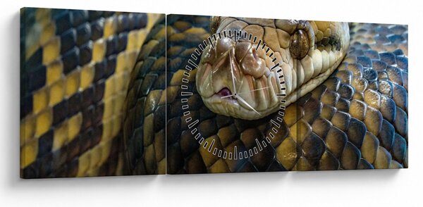 Tablou - Piton (cu ceas) (90x30 cm)