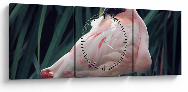 Tablou - Pasărea Flamengo (cu ceas) (90x30 cm)