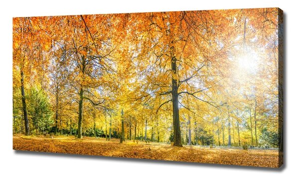 Tablouri tipărite pe pânză pădure în toamna