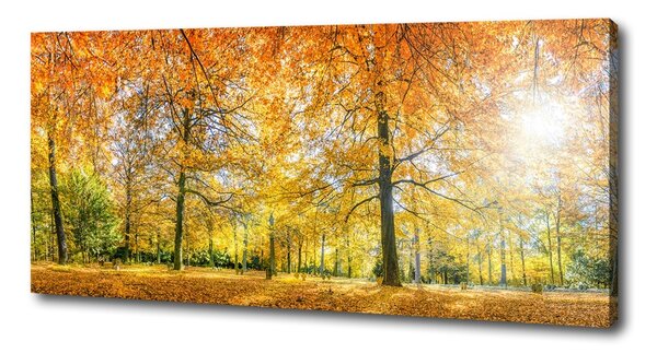 Tablouri tipărite pe pânză pădure în toamna