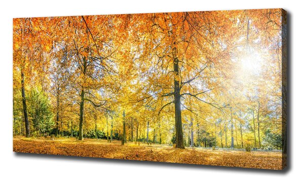 Tablouri tipărite pe pânză pădure în toamna