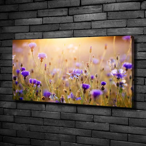 Tablou pe pânză canvas flori de câmp