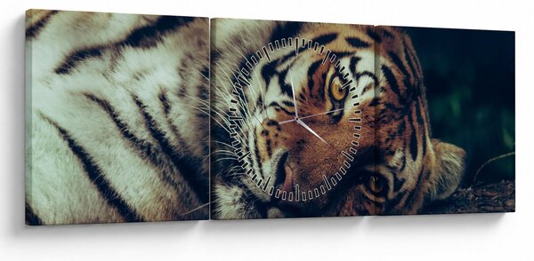 Tablou - Tigrul Siberian (cu ceas) (90x30 cm)