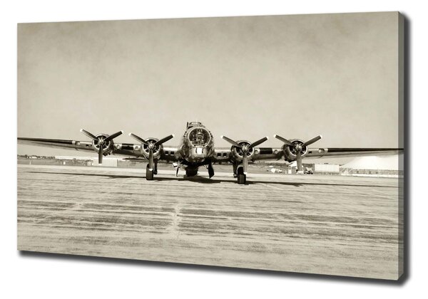 Print pe canvas bombardier vechi