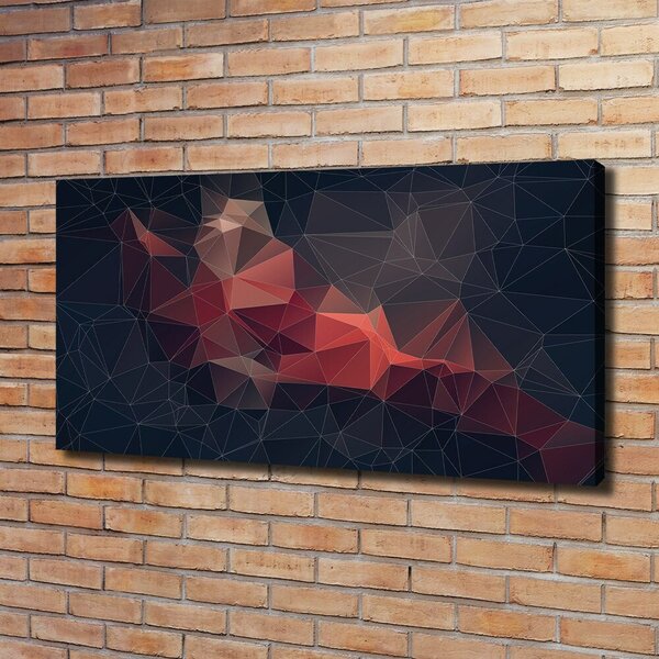 Tablou canvas abstract