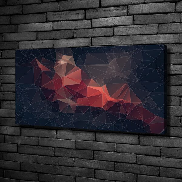 Tablou canvas abstract