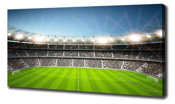 Tablou pe pânză stadiu
