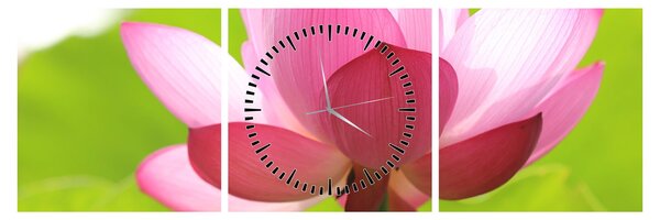 Tablou cu flori de lotus (cu ceas) (90x30 cm)