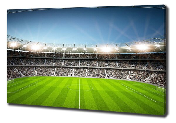 Tablou pe pânză stadiu