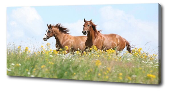Pictură pe pânză Doi cai în galop