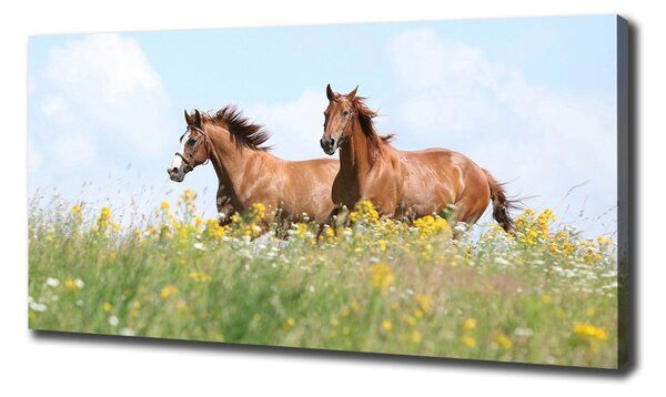 Pictură pe pânză Doi cai în galop