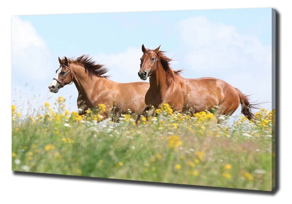 Pictură pe pânză Doi cai în galop