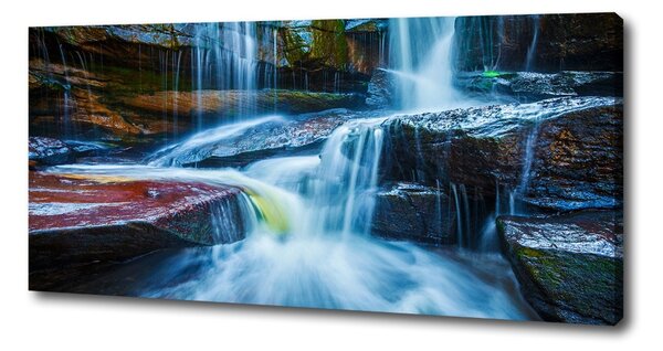 Pictură pe pânză cascada tropicale