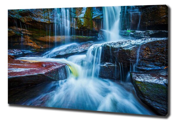 Pictură pe pânză cascada tropicale