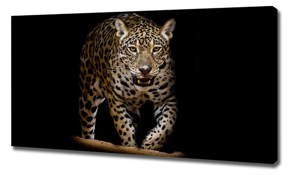 Tablou canvas Jaguar