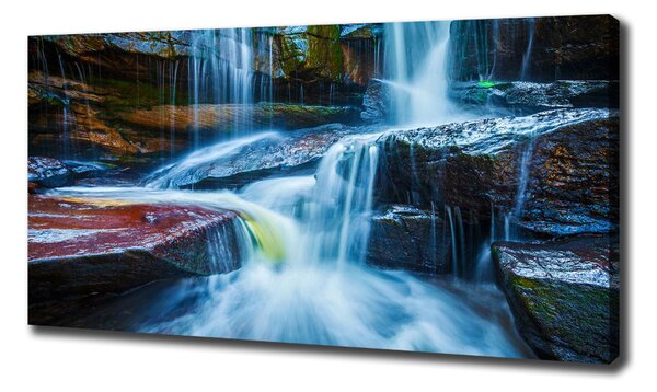Pictură pe pânză cascada tropicale