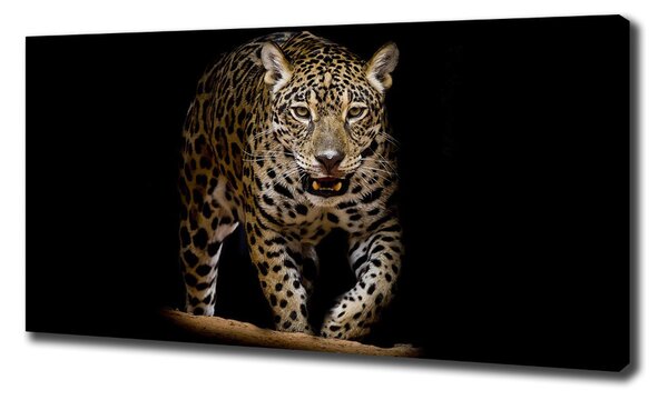 Tablou canvas Jaguar