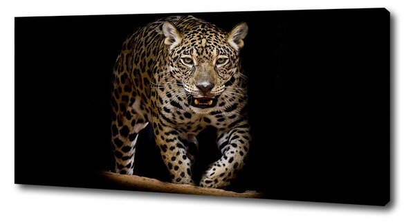 Tablou canvas Jaguar