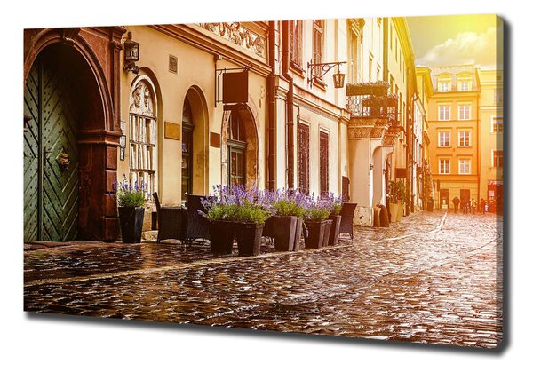 Tablou pe pânză canvas Cracovia, Polonia