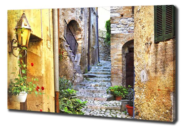 Tablou canvas stradă fermecătoare