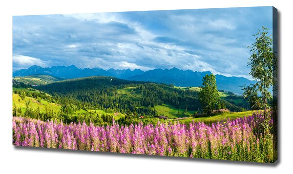 Tablou canvas Lavanda în munți