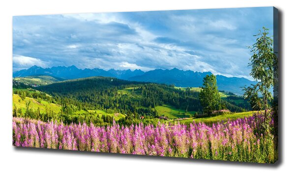 Tablou canvas Lavanda în munți
