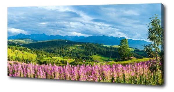 Tablou canvas Lavanda în munți