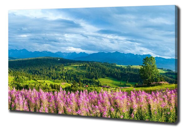 Tablou canvas Lavanda în munți