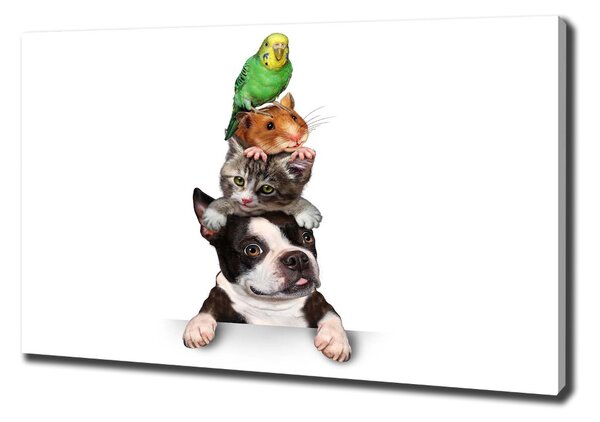 Tablouri tipărite pe pânză grup de animale