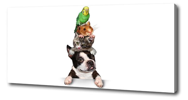 Tablouri tipărite pe pânză grup de animale