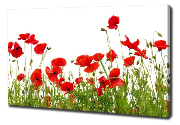 Print pe canvas Maki