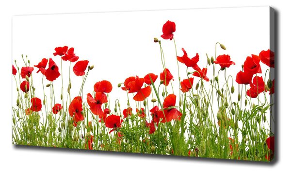 Print pe canvas Maki