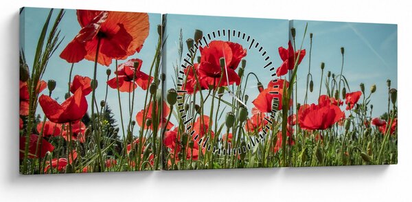 Tablou - Pe câmpul cu maci (cu ceas) (90x30 cm)