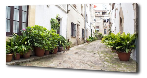 Imprimare tablou canvas stradă fermecătoare