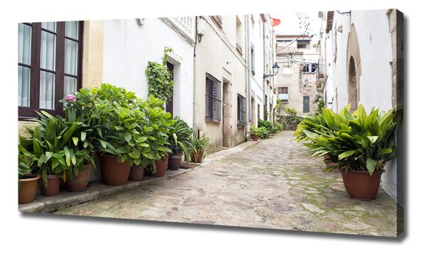Imprimare tablou canvas stradă fermecătoare