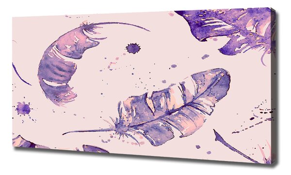 Imprimare tablou canvas pene