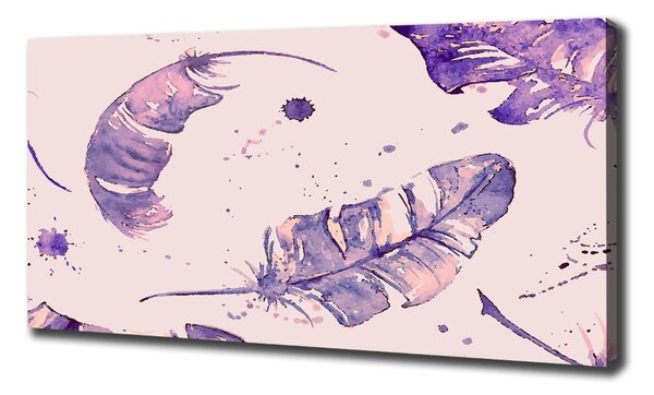 Imprimare tablou canvas pene
