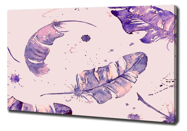 Imprimare tablou canvas pene