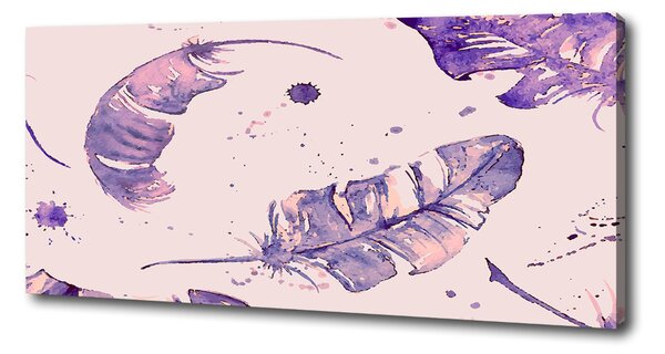 Imprimare tablou canvas pene