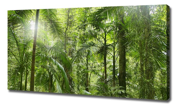 Imprimare tablou canvas padure tropicala