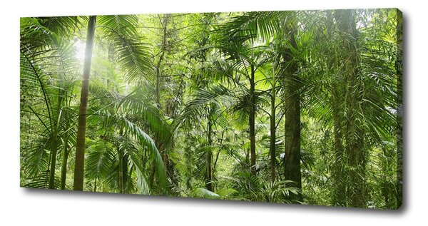 Imprimare tablou canvas padure tropicala