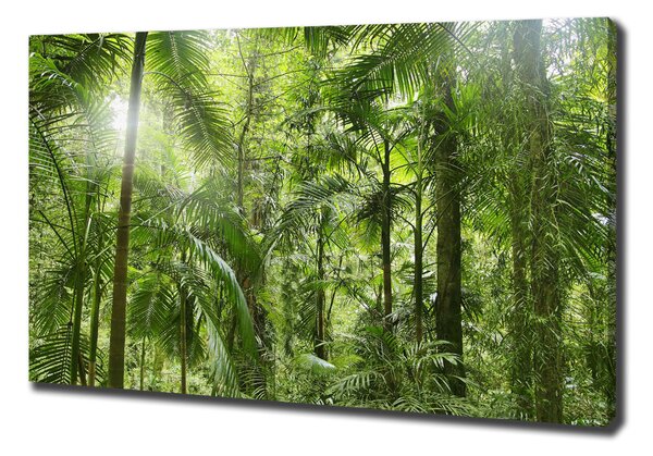 Imprimare tablou canvas padure tropicala