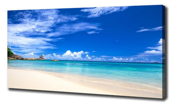 Tablou pe pânză canvas plaja tropicala