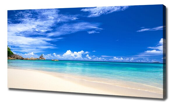 Tablou pe pânză canvas plaja tropicala