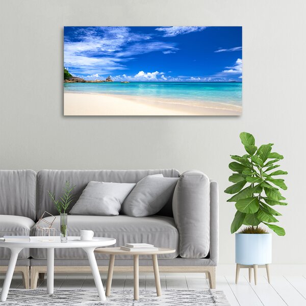Tablou pe pânză canvas plaja tropicala