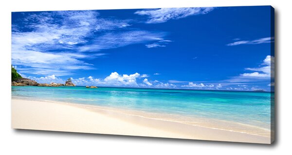 Tablou pe pânză canvas plaja tropicala