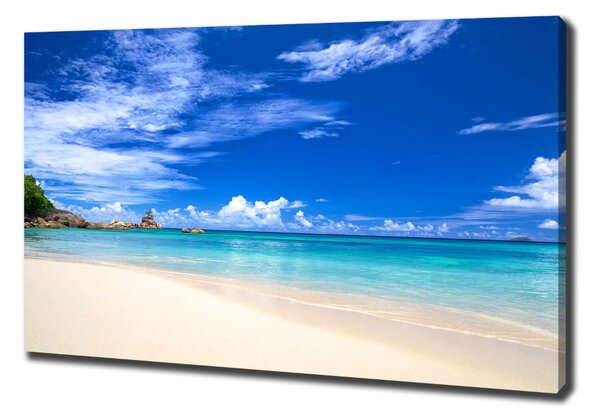 Tablou pe pânză canvas plaja tropicala
