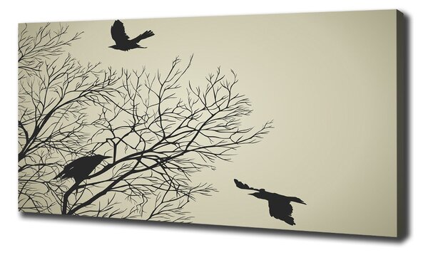 Print pe canvas Ciorile de pe copac