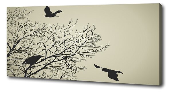 Print pe canvas Ciorile de pe copac