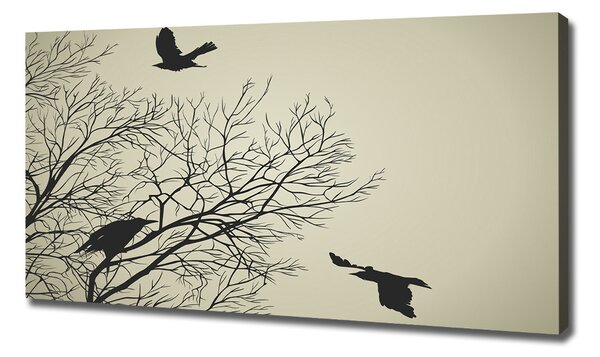 Print pe canvas Ciorile de pe copac